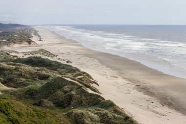 kum tepeleri Oregon kıyılarında