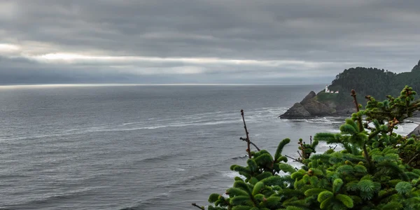 Heceta kafa feneri — Stok fotoğraf