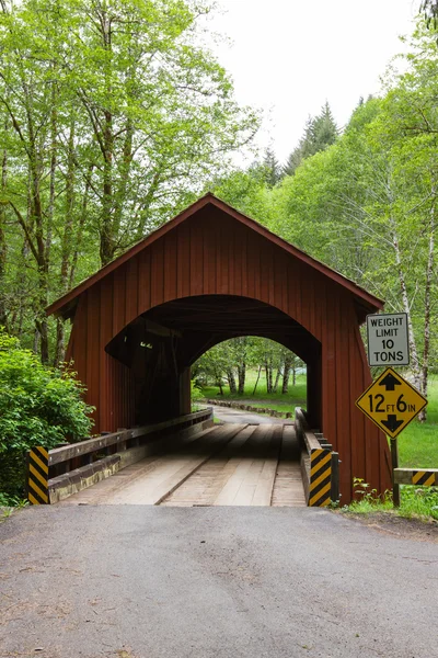 North Fork Yachats brug — Stockfoto