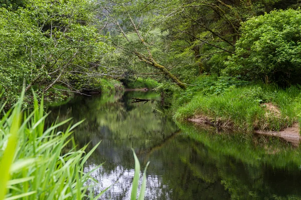 Rio sereno em Oregon — Fotografia de Stock
