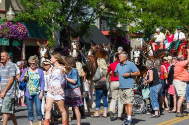 Budweiser atlar Coeur d'Alene, Idaho