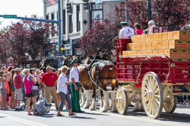 Budweiser atlar Coeur d'Alene, Idaho