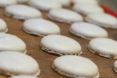 Fransızca macaroons hazırlanıyor