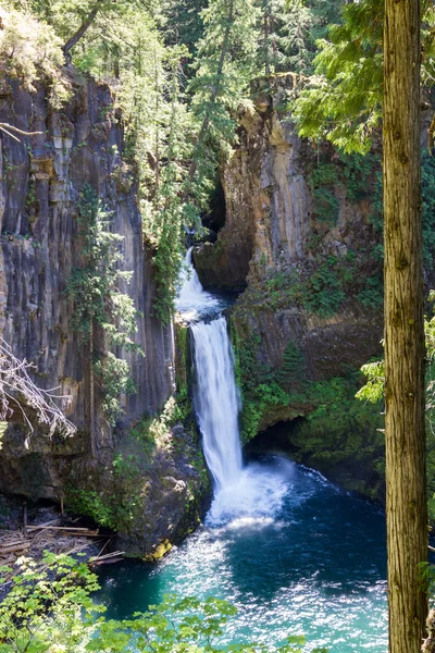 Toketee Falls, Oregon — Stockfoto