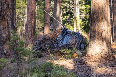 Güneşli bir Güney Oregon kozalaklı ormanında mevsimsel kontrollü yanmayı bekleyen siyah bir muşambayla kaplı bir çalılık ve odunsu enkaz yığınının odaklanmış bir manzara görüntüsü..