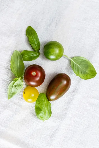 Fresh basil and tomato — Stock Photo, Image