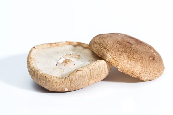 Mushroom caps over white — Stock Photo, Image