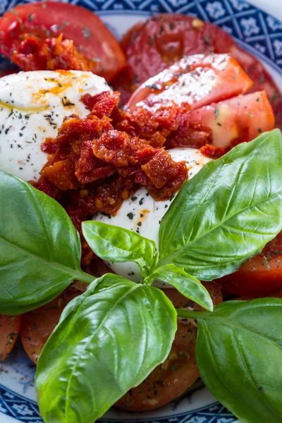Pomidor sałatka z mozzarellą — Zdjęcie stockowe