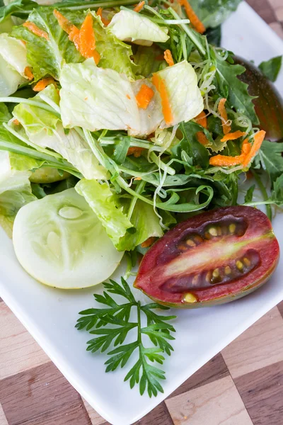 Refreshing green salad — Stock Photo, Image