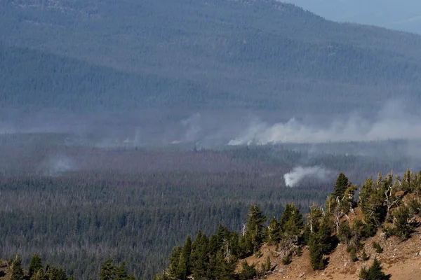 Les points chauds restants d'un feu de forêt — Photo