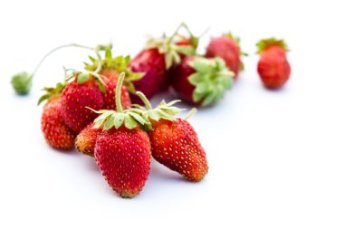 taze Yaban çilekleri