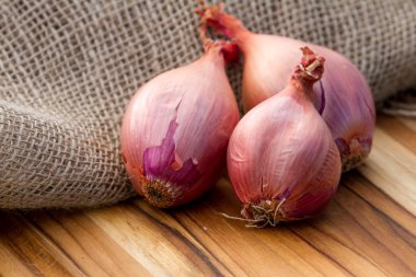 taze organik arpacık