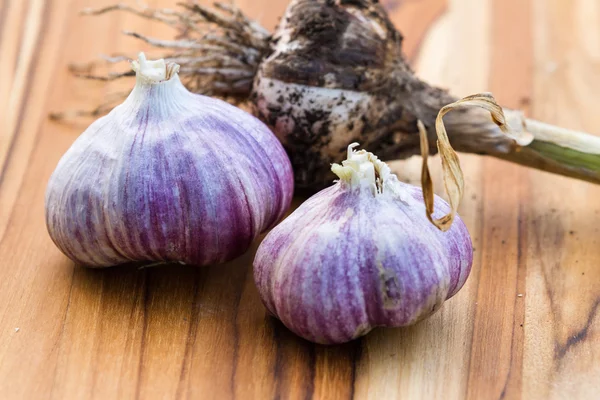 Taze çiğ sarımsak — Stok fotoğraf