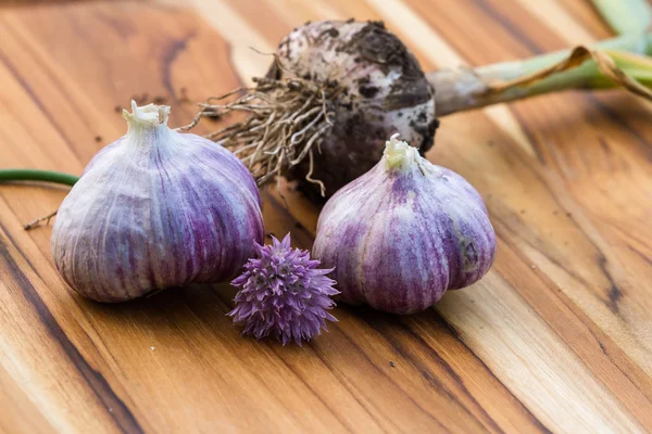 Fresh raw garlic — Stock Photo, Image