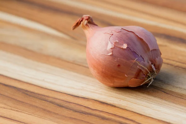 Scalogni freschi biologici — Foto Stock