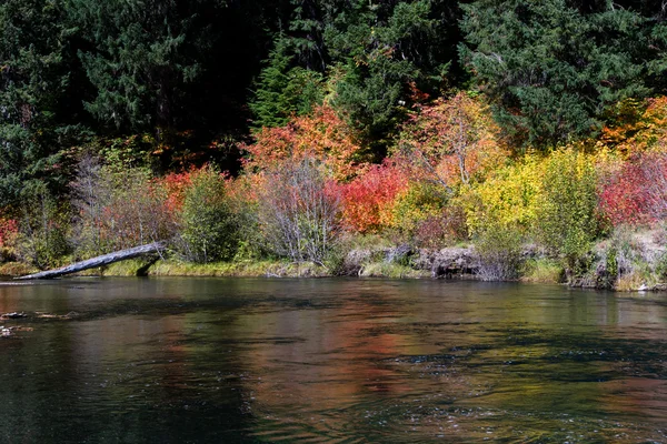 Rouge River im Herbst — Stockfoto