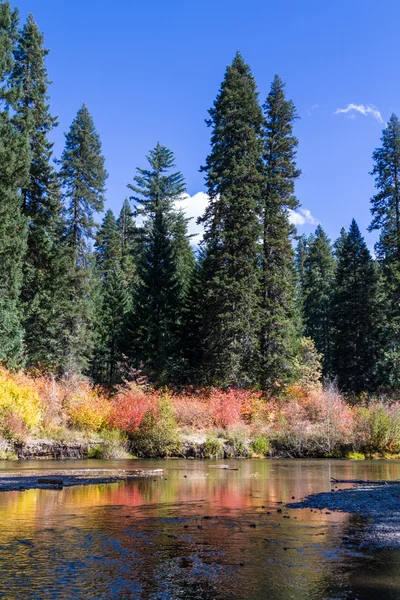 Rouge rzeki jesienią — Zdjęcie stockowe