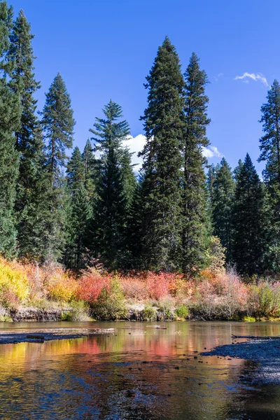 Rouge river in autumn — Stock Photo, Image