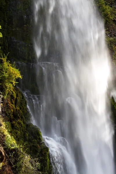 Mill creek falls — Stockfoto