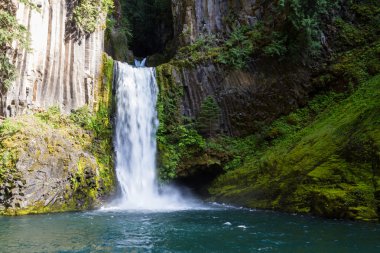 Toketee Falls, Oregon clipart