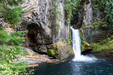 Toketee Falls, Oregon clipart