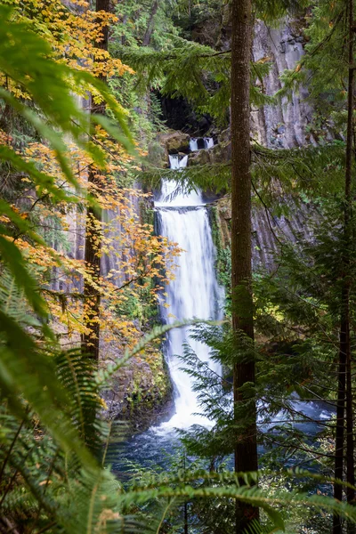 Toketee Falls, Oregon — Stockfoto