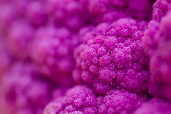 Paarse bloemkool closeup — Stockfoto