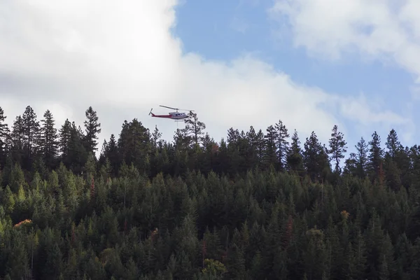 Firefighting helicopter in the forest — Stock Photo, Image