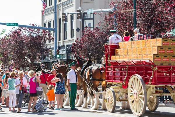Budweiser Clydesdales in Coeur d 'Alene, Idaho
