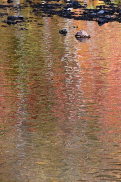 Autumn in the water — Stock Photo, Image