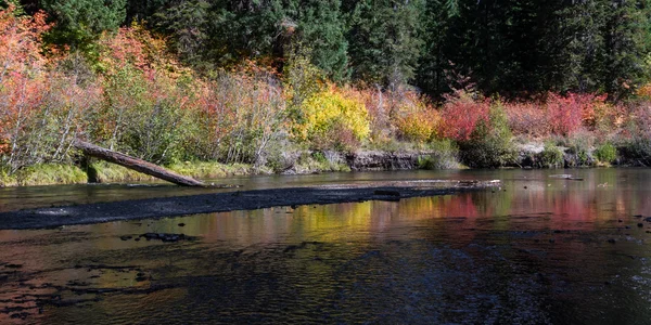 Rivière Rouge en automne — Photo