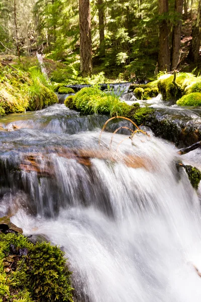 Natural spring water — Stock Photo, Image