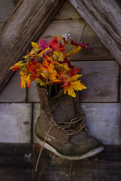 Flowers in a boot — Stock Photo, Image