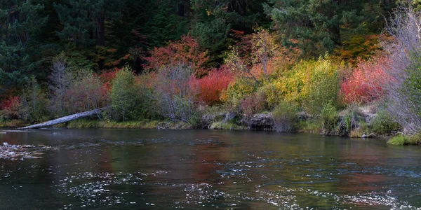 Jesień nad rzeką — Zdjęcie stockowe
