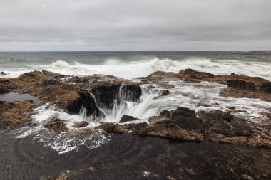 Thor'un şey, Oregon