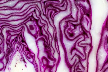 mor lahana arka plan