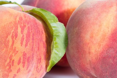 taze organik şeftali