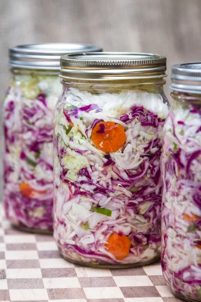 Fermented or cultured vegetables — Stock Photo, Image