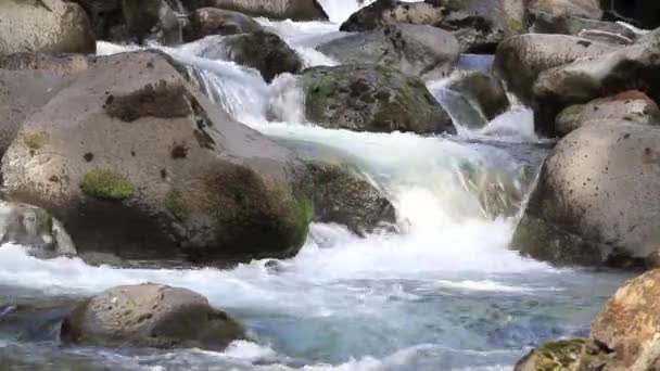 Mill Creek Oregon kör igenom stora stenar och stenblock — Stockvideo