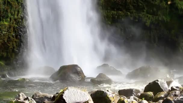 Arroyo molino cae — Vídeo de stock