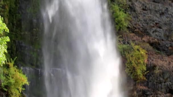 Mill Creek Falls — Stok Video