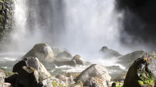 Mill creek falls — Stockvideo