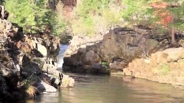 Sección pacífica del río Rouge — Vídeo de stock