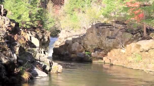 Peaceful section of the rouge river — Stock Video