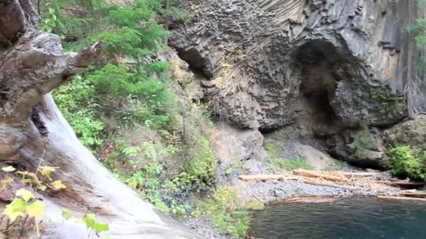 Toketee водоспад в південному штаті Орегон — стокове відео