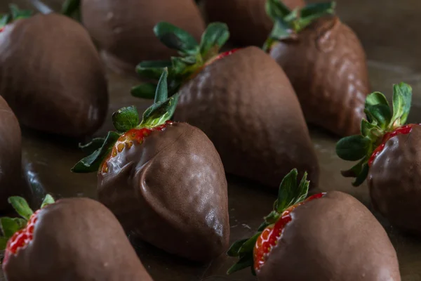 Jahody s čokoládou — Stock fotografie
