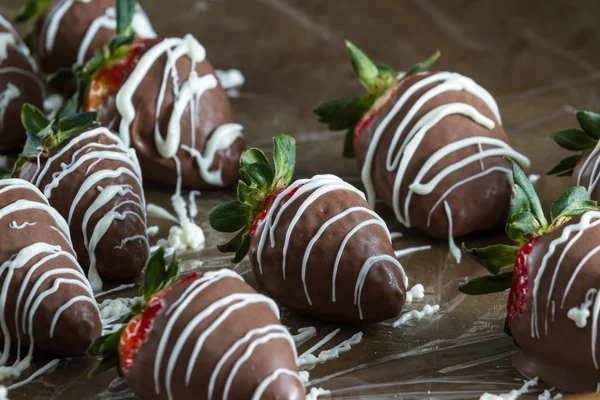 Chokladöverdragna jordgubbar — Stockfoto