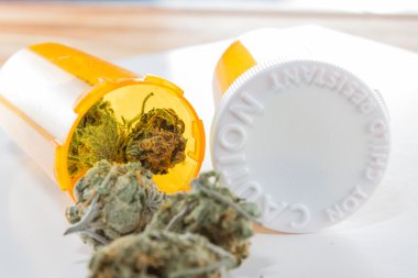 Esrar Indica Bud (tıbbi amaçlar için)