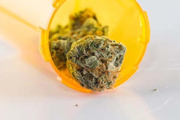 Cannabis Indica Bud (for medicinal purposes) — Stock Photo, Image