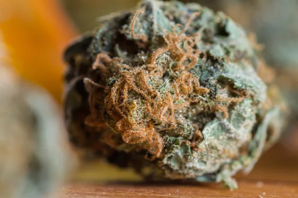 Cannabis Indica Bud (con fines medicinales) ) — Foto de Stock